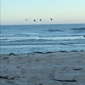 Meet your Posher, Carly